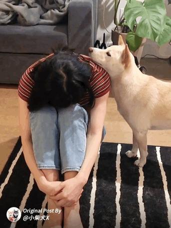 孩子一生气就躲在角落里