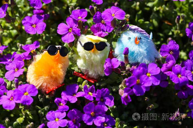 紫色的小鸡是什么鸡图标