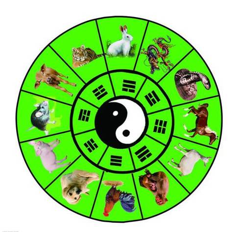 一阴一阳的生肖动物