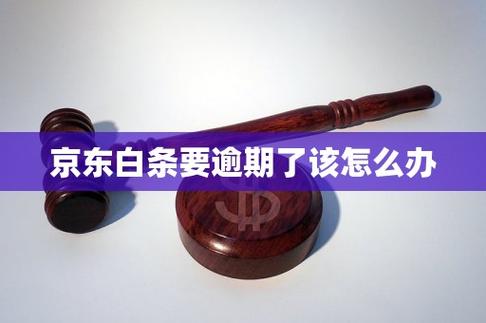 京东白条逾期会催收吗游戏截图