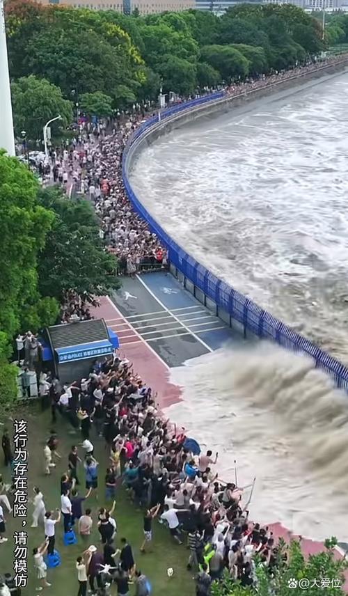 主队临场涨水赢还是输