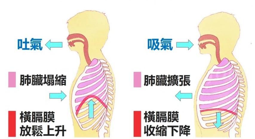 粗重的呼吸