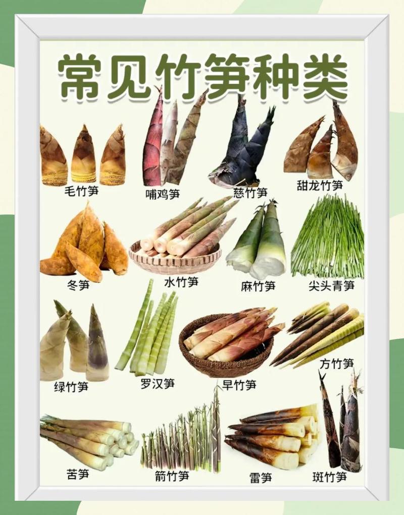 抖音上大竹笋开合什么意思