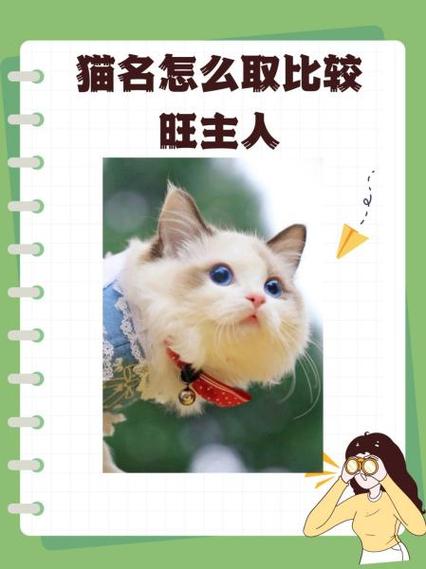 喵字最搭的情侣名