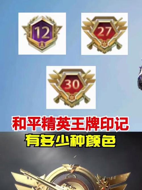 和平精英显示王牌印记