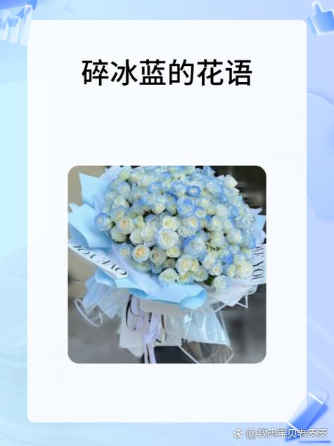 碎冰蓝的花语和寓意