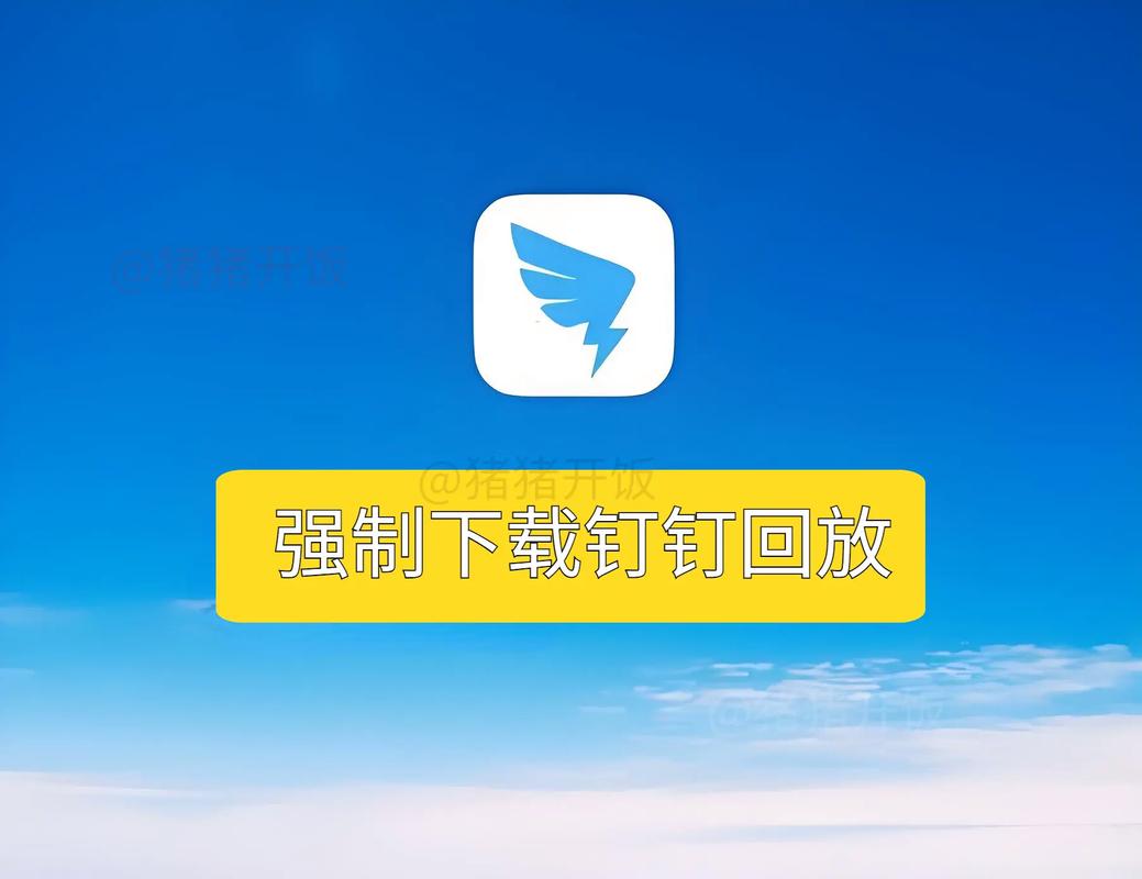 钉钉私聊文件被传到钉盘
