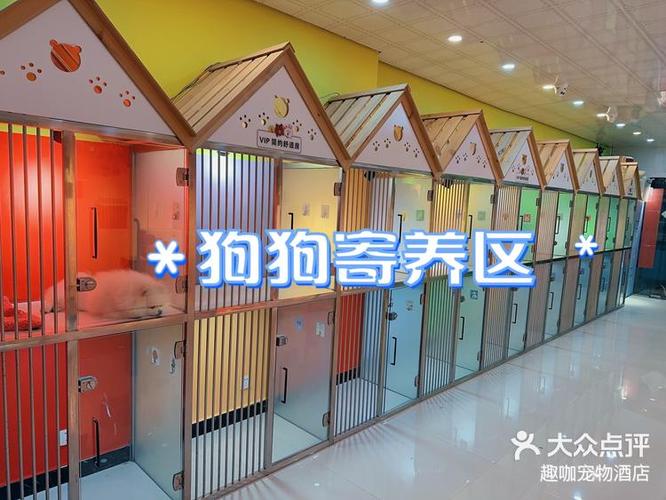 宠物寄养好做吗截图