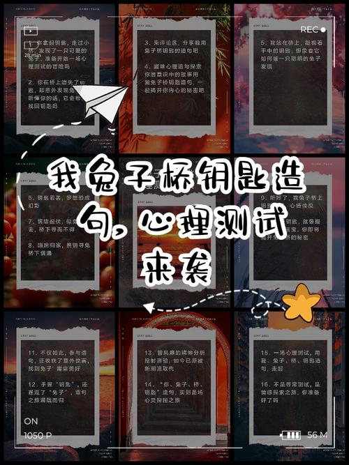 心理测试用我兔子钥匙桥造句