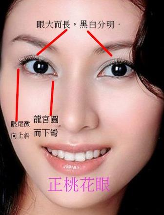 应采儿面相分析缩略图