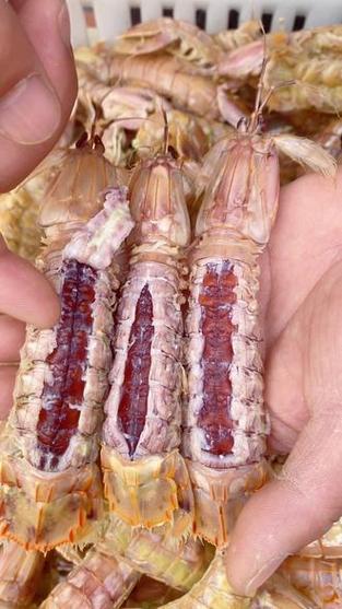 皮皮虾推荐过的app