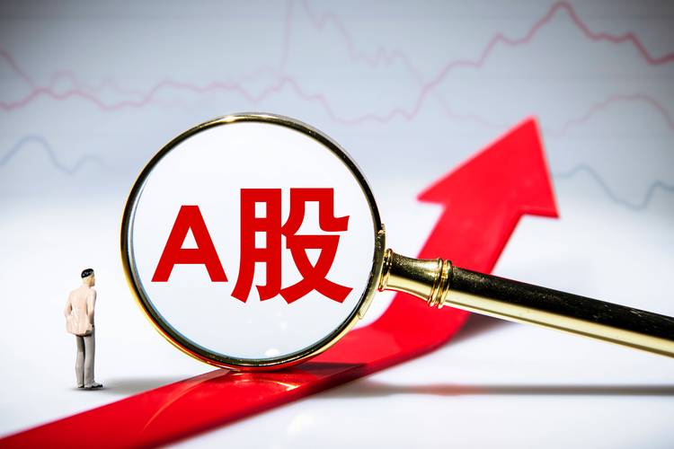 A股暴跌真相新