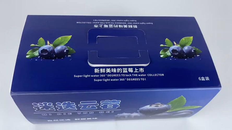 蓝莓包装设计