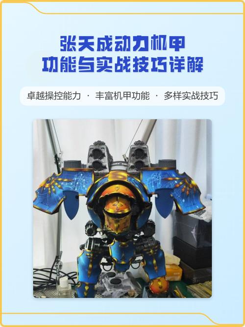 张天成玩动力机甲