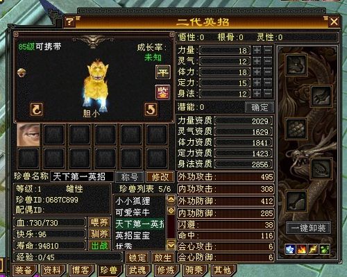 天龙八部宝宝提悟性的资质怎么算