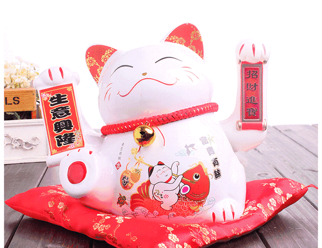 养猫招财改运