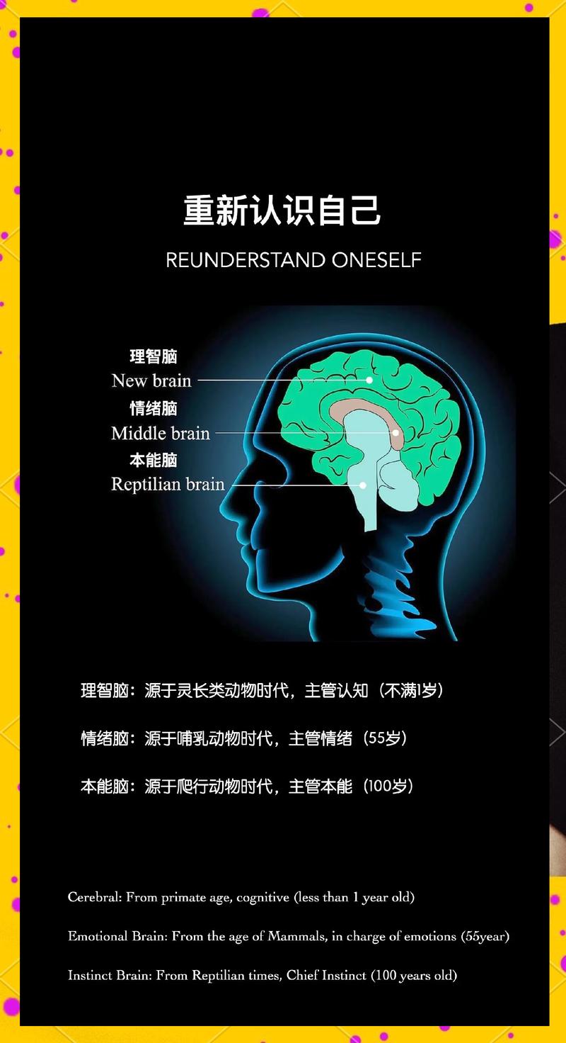 第二人生最强大脑问题答案