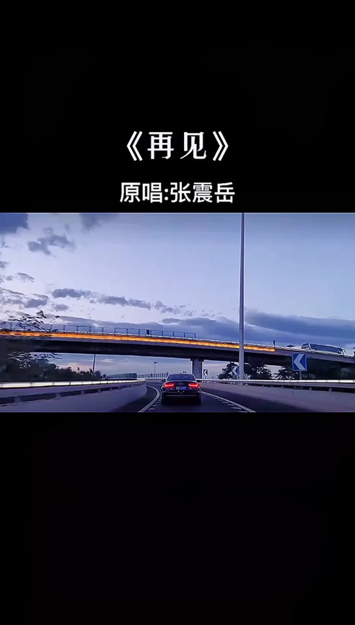 《再见》女声版