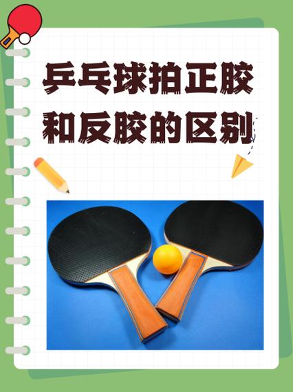 双面反胶和正反胶有什么区别截图