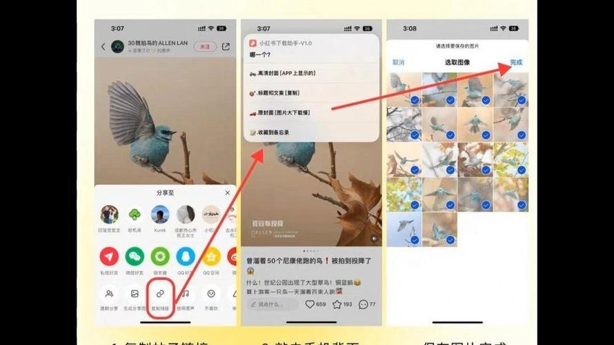 小红书实况图去水印快捷指令
