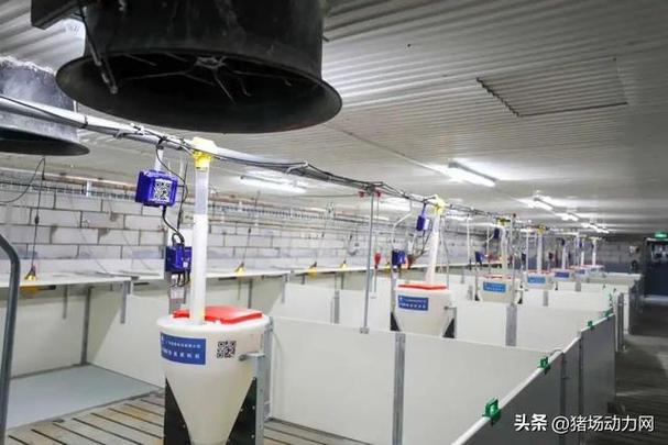 哪里可以学养猪技术现场教的图标