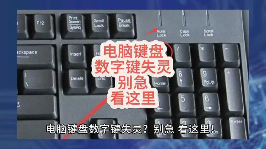 键盘的数字键打不了数字怎么回事图标