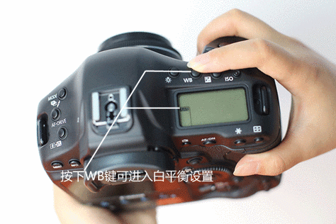 佳能1dx怎么调对焦点
