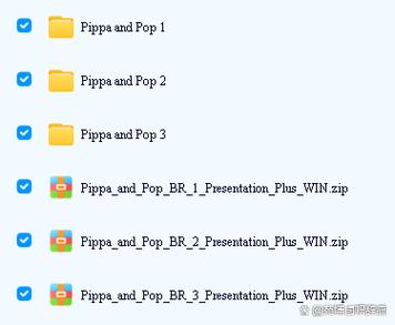 pippa软件
