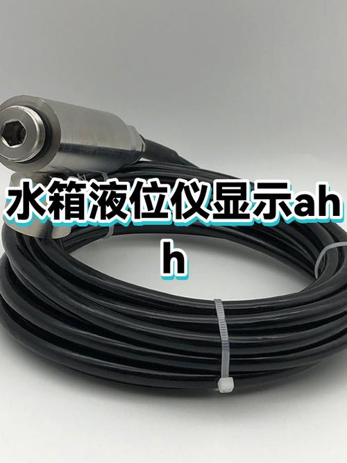 马桶有水按下去没反应缩略图