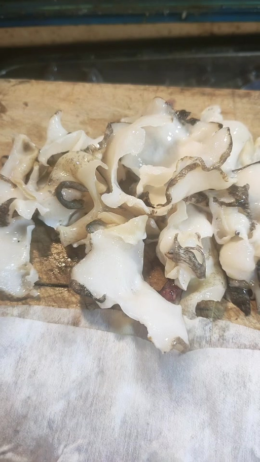 海螺肉截图