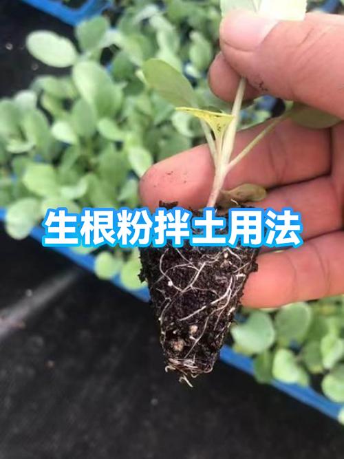 土加匀念什么