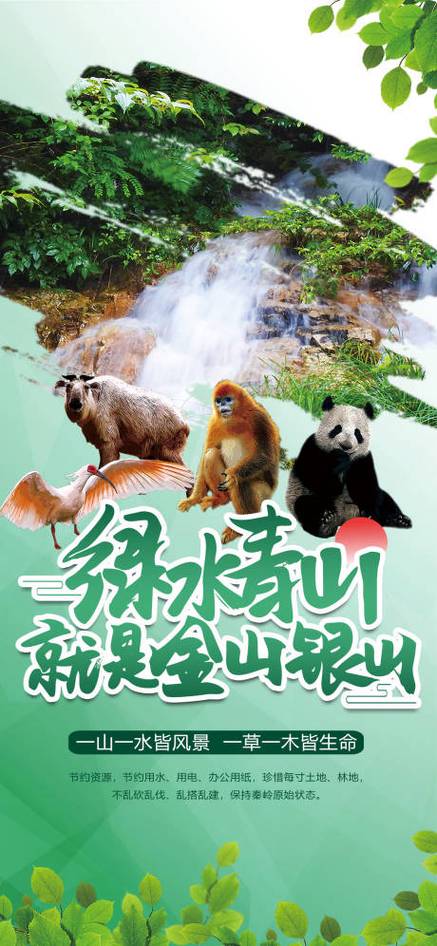 绿水青山最佳答案一肖缩略图