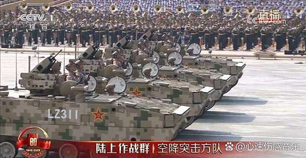 阅兵感受100字