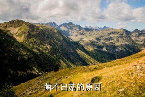 菌种不出菇的原因图标