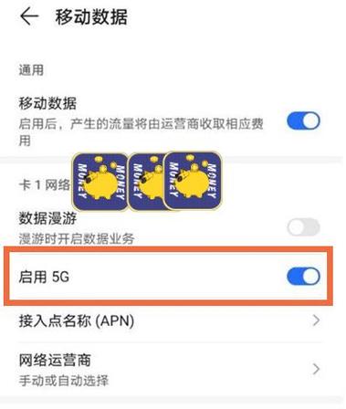 无法使用5g sa服务图标