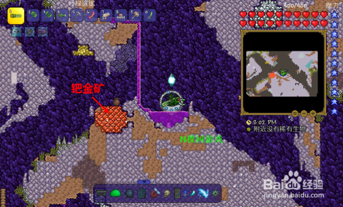 钯金泰拉瑞亚怎么挖图标