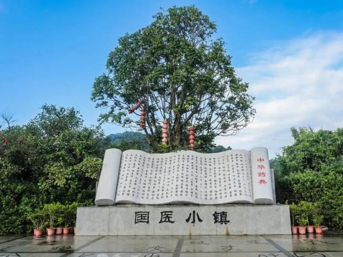 小镇中医:从中医开始小说缩略图