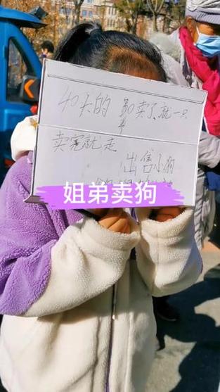 买狗的正规平台