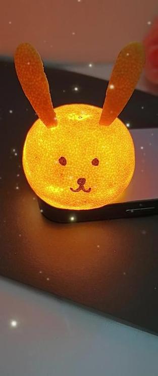 橘子手工