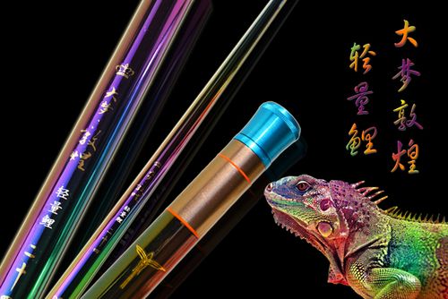 大洋轻量鲤鱼竿