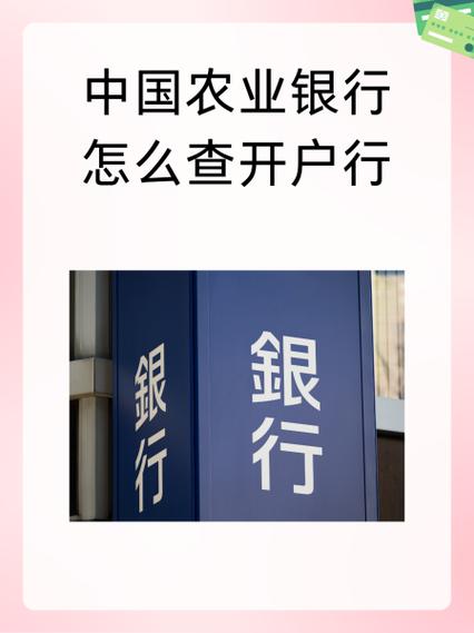 农业银行解锁银行卡要到开户行吗游戏截图
