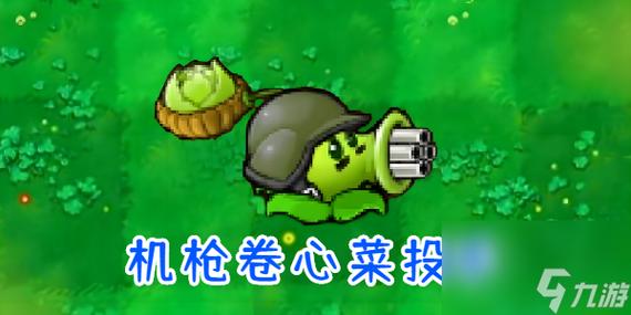 卷心菜投手5阶厉害吗