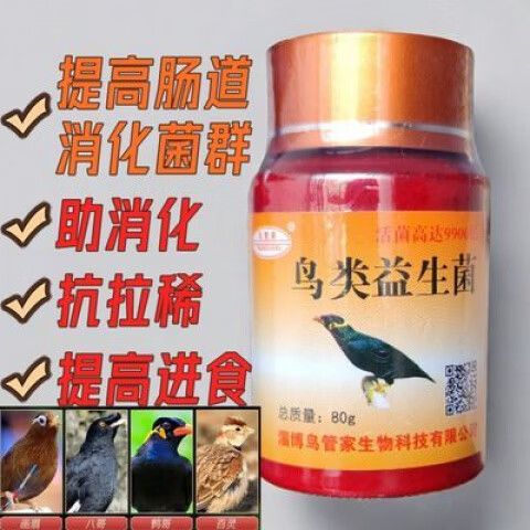 小鸟细菌多吗