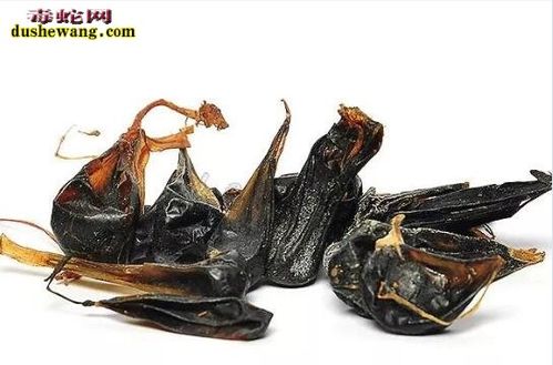 泰国蛇胆丸的功效与吃法截图
