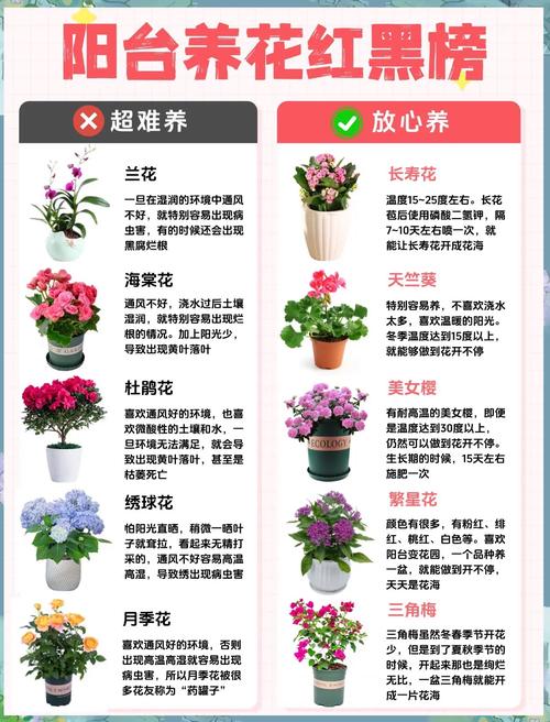 网上养花赚钱怎么下载