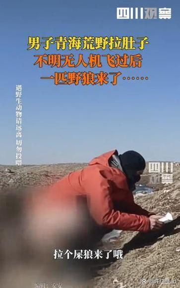 开心斗欢狼版为什么过期了