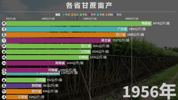 甘蔗亩产最高纪录