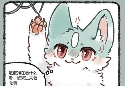 猫咪流奶的攻受文