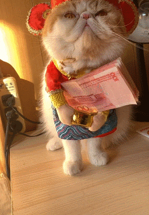 小猫赚钱缩略图