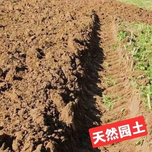 什么样的田园土好